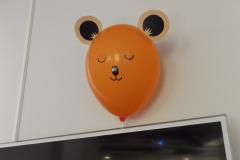 DSCF3247.JPG